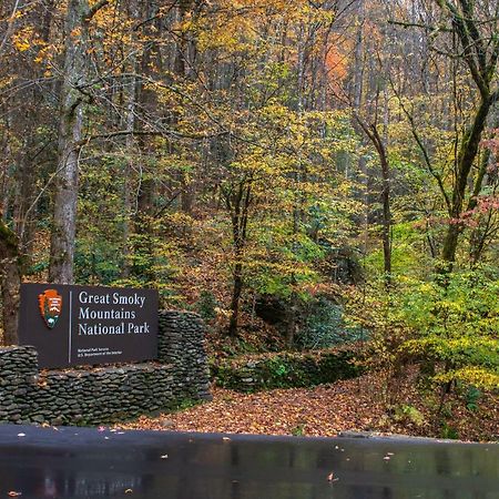 Two Bears Cabin وير فالي المظهر الخارجي الصورة